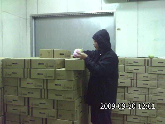 以國際標準製造的中秋文旦禮盒現在可以宅配日本